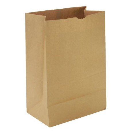 The General #12 Paper Grocery Bag | 500 a Case