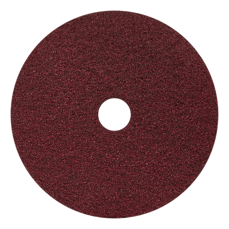 Black Diamond 400 Grit Heavy-Duty Cleaning Pad 2-Pack