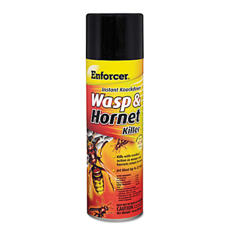 Misty® Wasp & Hornet Killer IIb Spray – 16 Oz