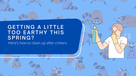 Getting a little too earthy this spring? Here's how to clean up after critters.